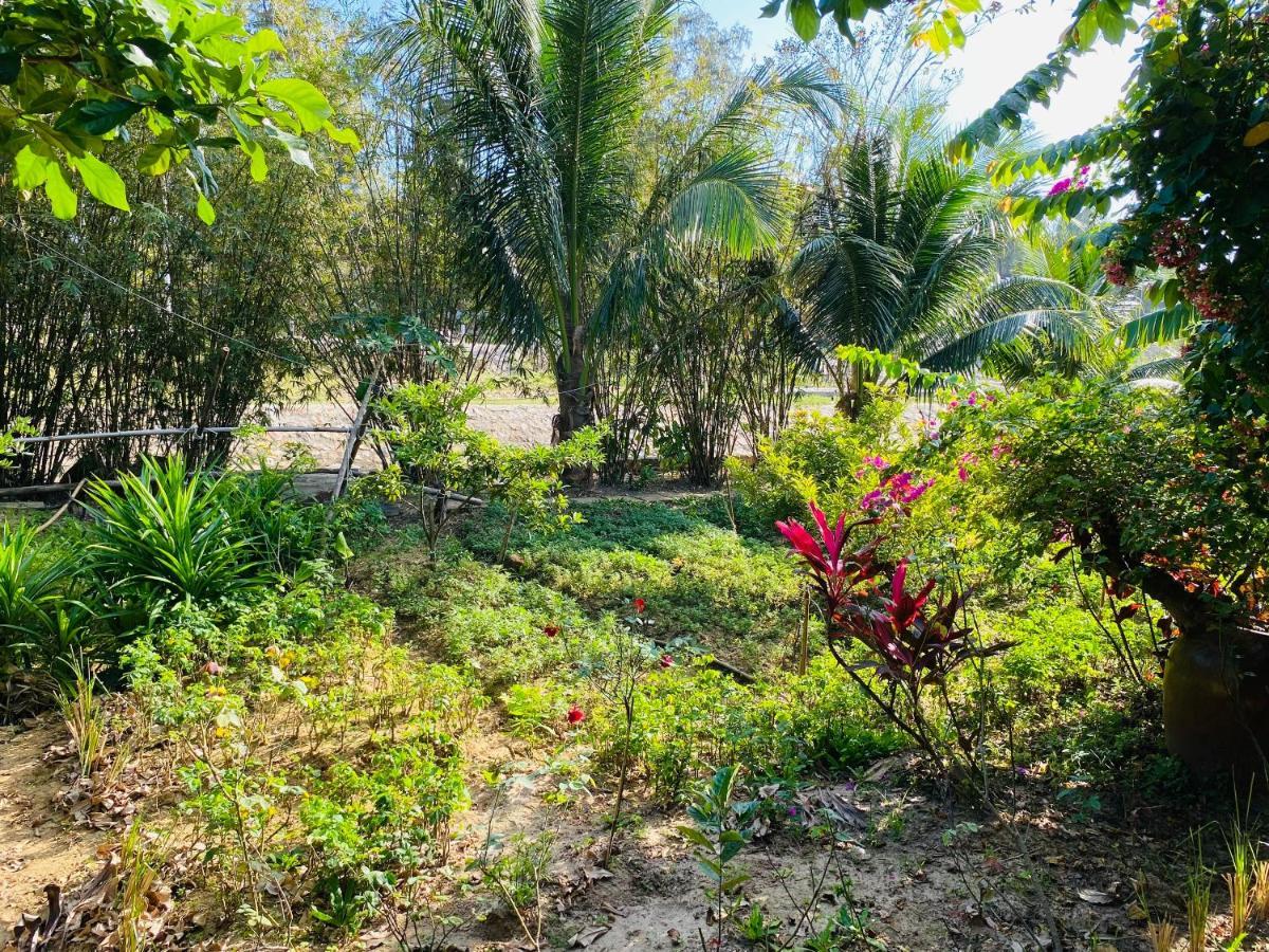 Kim'S Garden Βίλα Chi Khu Co Ong Εξωτερικό φωτογραφία